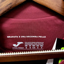 Camisa Torino 22/23 I Home - Versão Torcedor