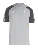 Camisa Atlético Mineiro 24/25 Treino - Cinza - Versão Torcedor